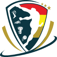 Dream Sports Academy Logo